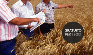 Consulenza agraria Cooperativa Valle Bruna